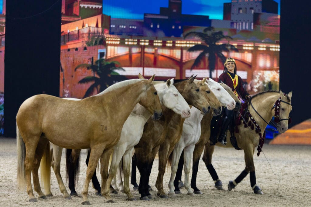 Rider with five beautiful horses.