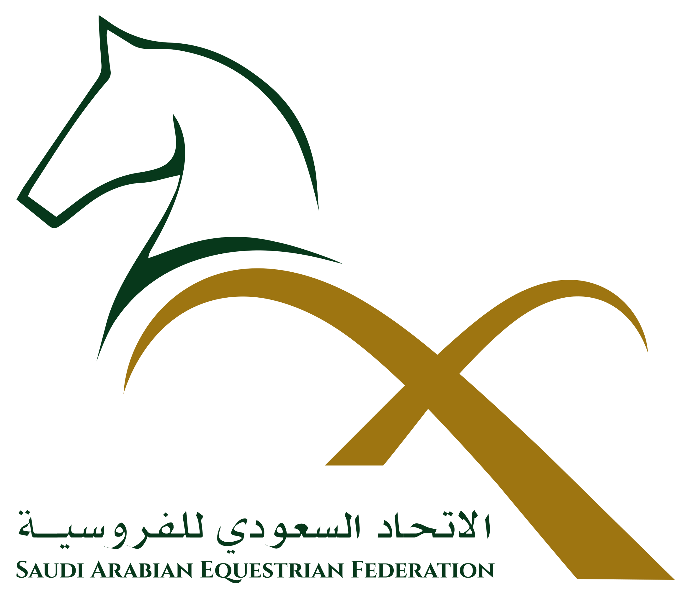 SAEF_NEW_LOGO