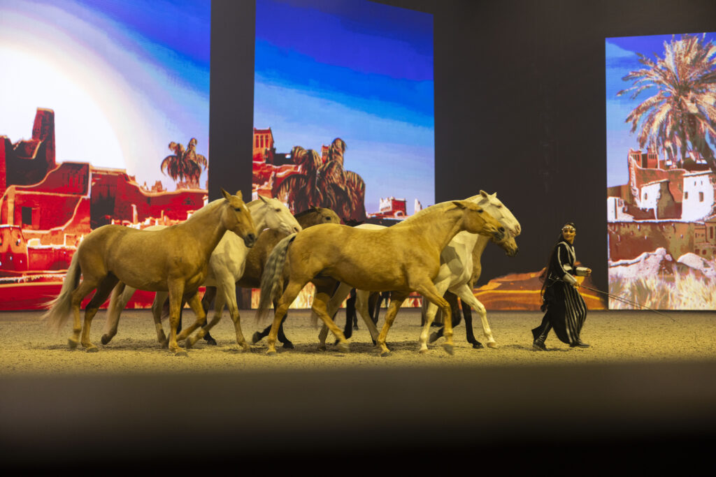 The Asayel Horse Show 2024